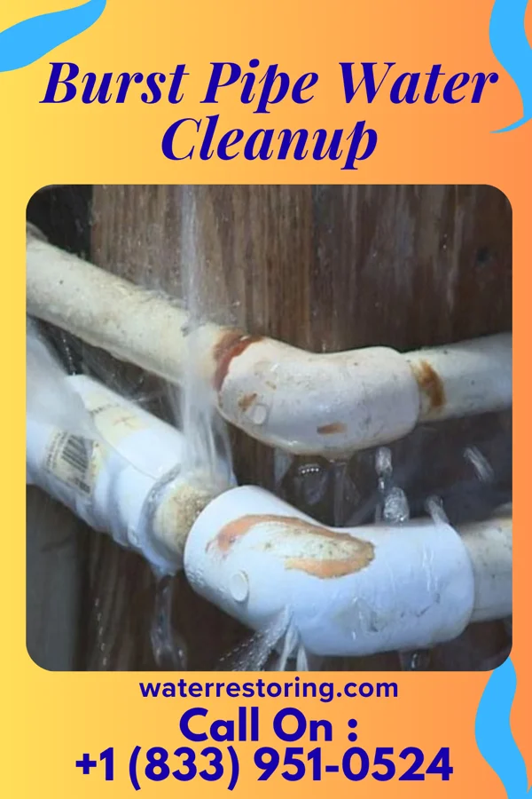 Burst Pipe Water Cleanup in Tichigan, WI