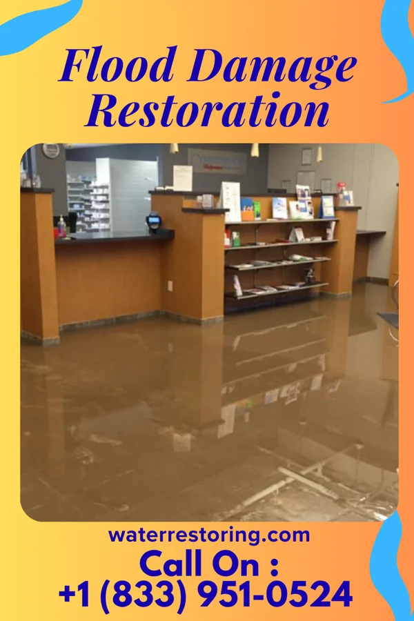 Flood Damage Restoration in Tichigan, WI
