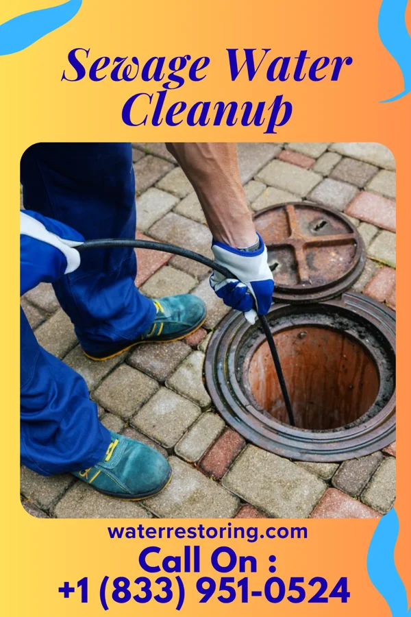 Sewage Water Cleanup in Tichigan, WI