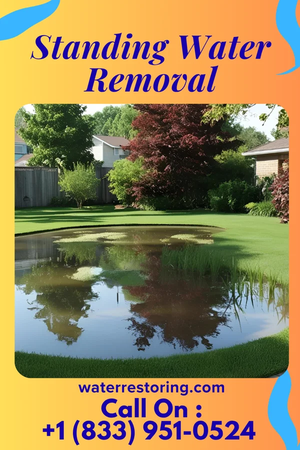 Standing Water Removal in Tichigan, WI